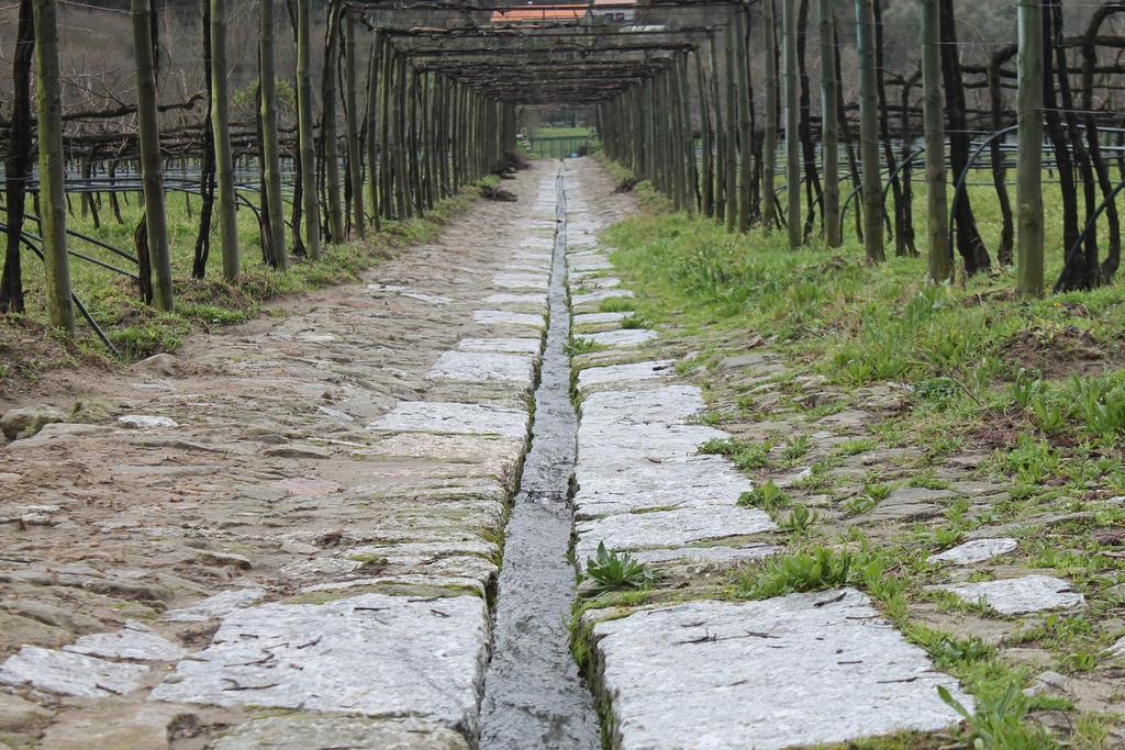 Quinta Da Eira Do Sol Βίλα Γκιμαράες Εξωτερικό φωτογραφία