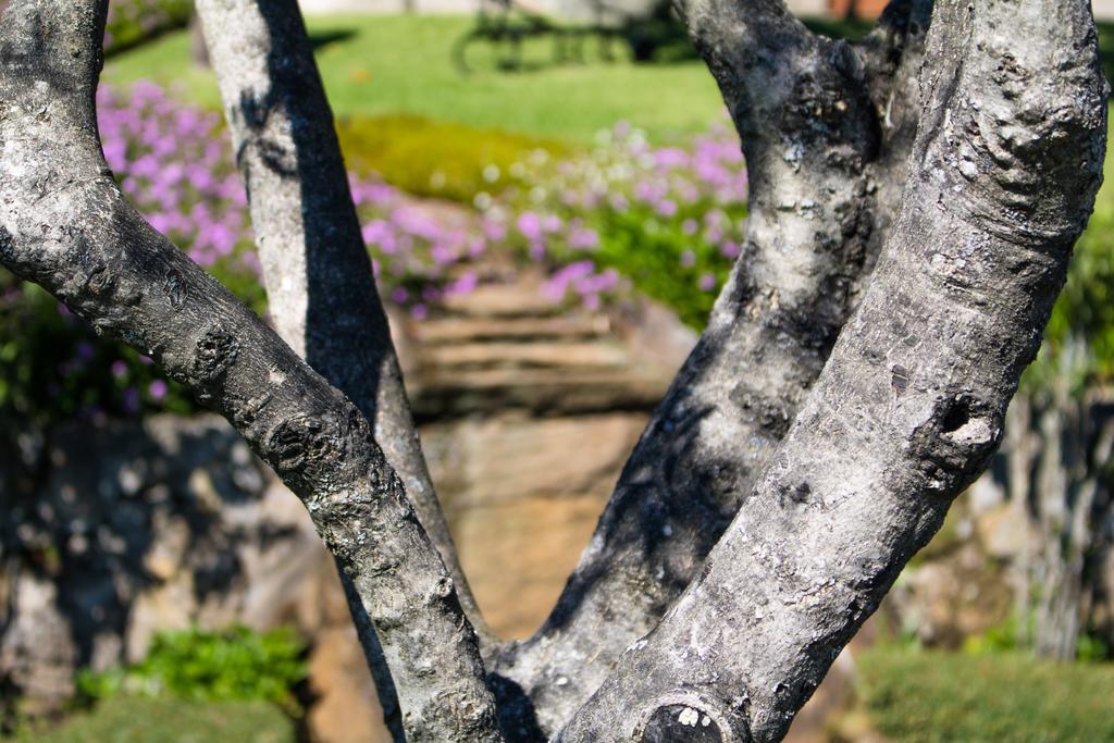 Quinta Da Eira Do Sol Βίλα Γκιμαράες Εξωτερικό φωτογραφία